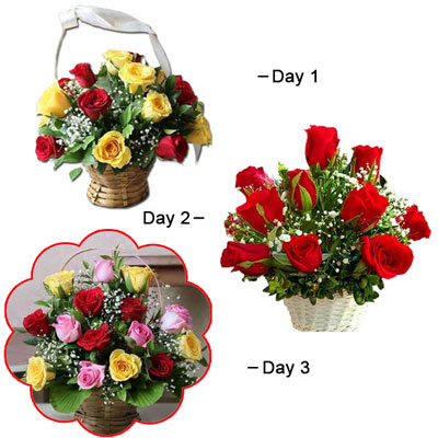 "3 Day Hamper - Code 07 - Click here to View more details about this Product